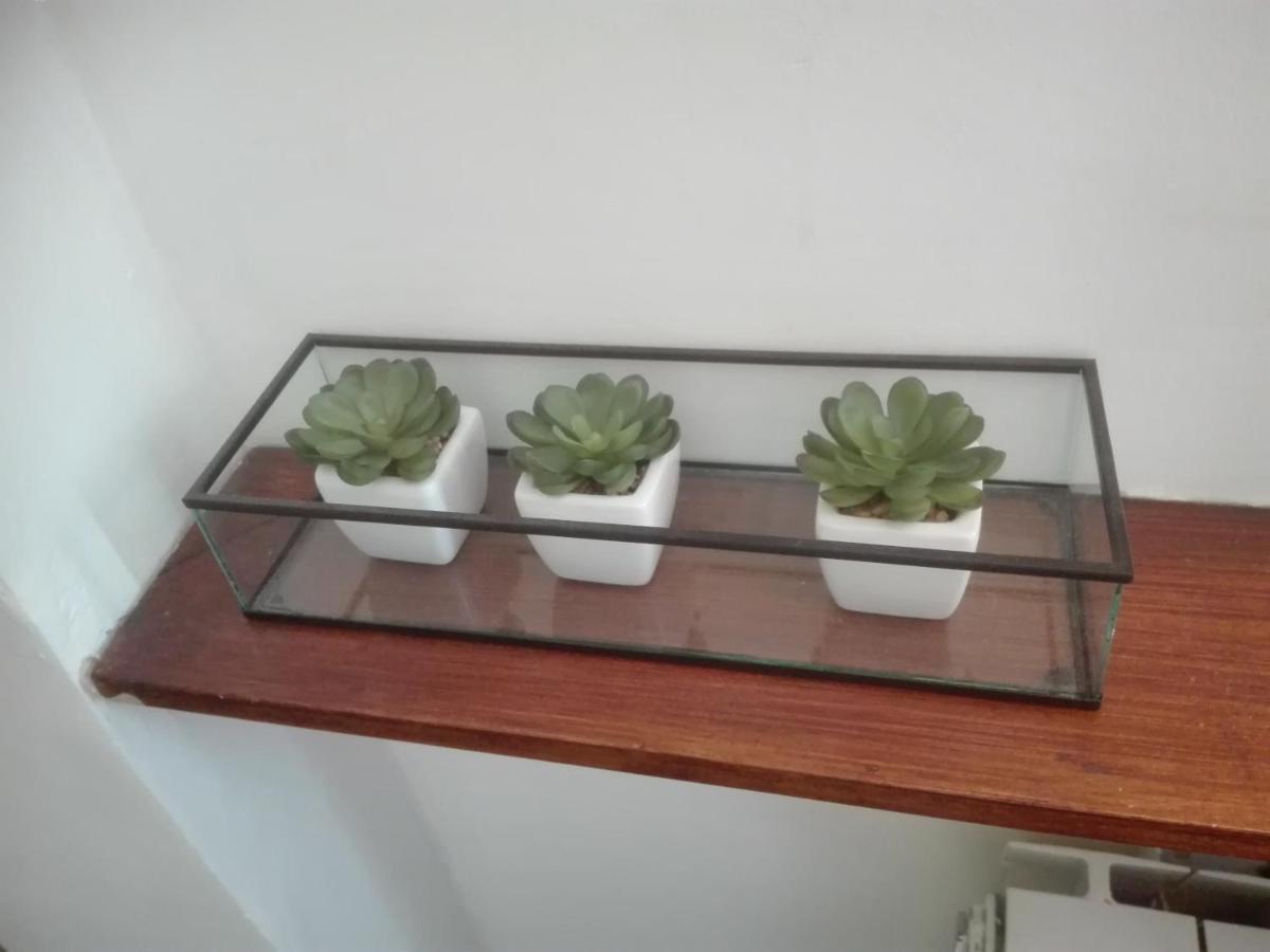 Apartament Sloneczny - קריניצה זדרוי מראה חיצוני תמונה